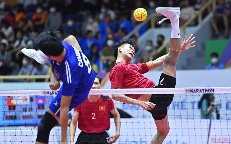 Cá cược cầu mây